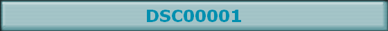 DSC00001