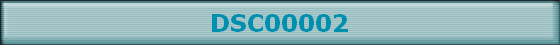 DSC00002