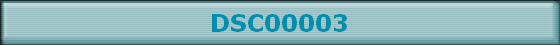 DSC00003