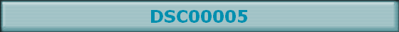DSC00005