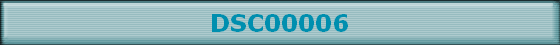 DSC00006