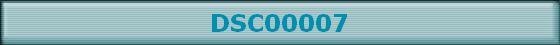 DSC00007