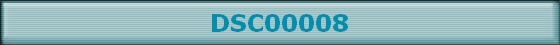 DSC00008