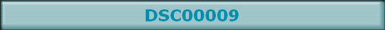 DSC00009