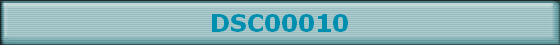 DSC00010