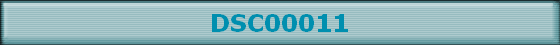DSC00011