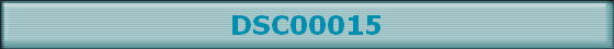 DSC00015