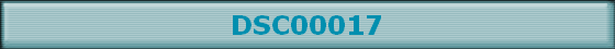 DSC00017