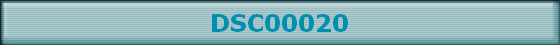 DSC00020