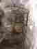 Cardoness Castle 143