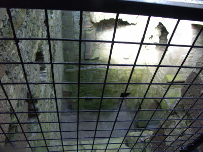 Cardoness Castle 179