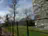 Cardoness Castle 182
