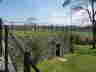 Cardoness Castle 184