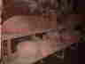 DSC00001