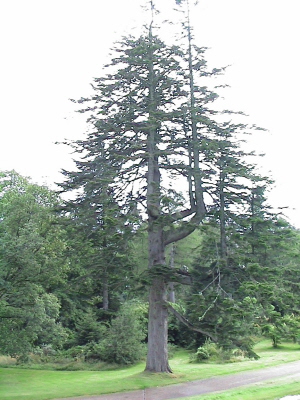 DSC00004