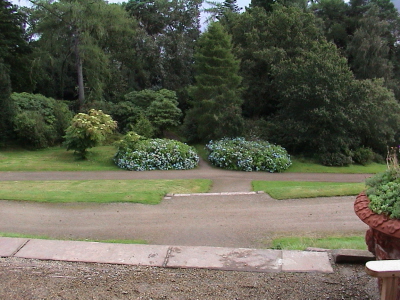 DSC00007