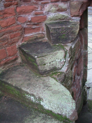 DSC00007