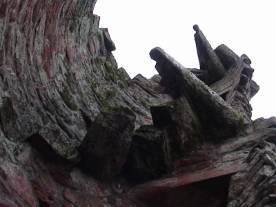 DSC00008