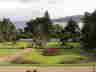 DSC00011