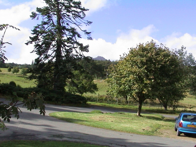 DSC00012