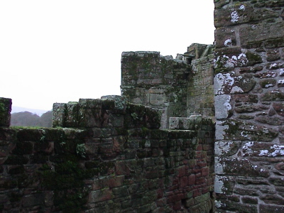 DSC00020