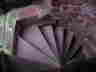 DSC00024