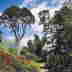 Brodick 2